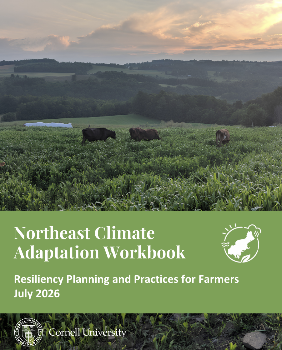 New Northeast Climate Adaptation Workbook Released